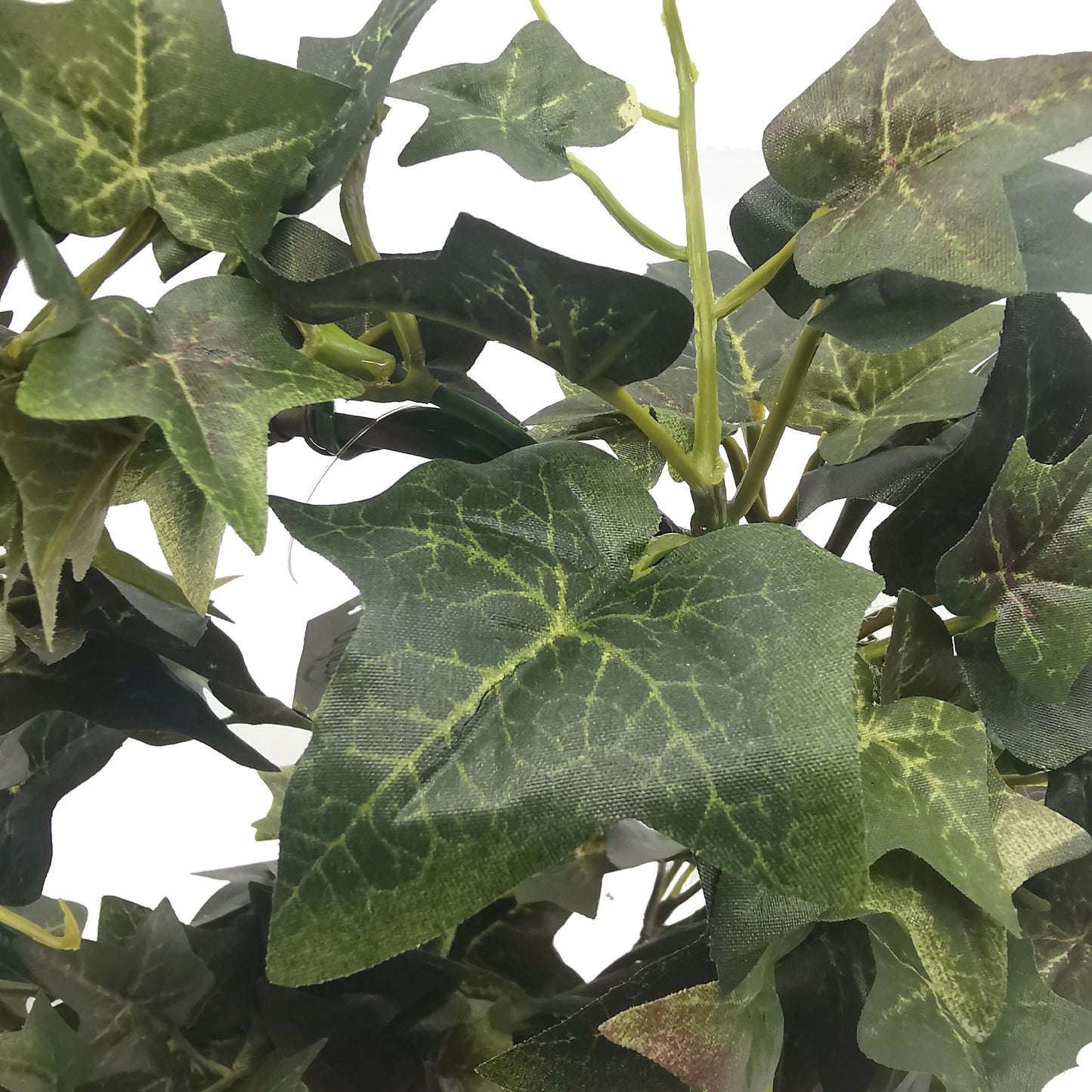 Planta in ghiveci, Coronita din Iedera, 33 cm, 25654