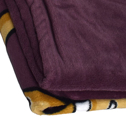 Patura Bambi, 75 x 100 cm, multicolor, Disney, 8588Mu