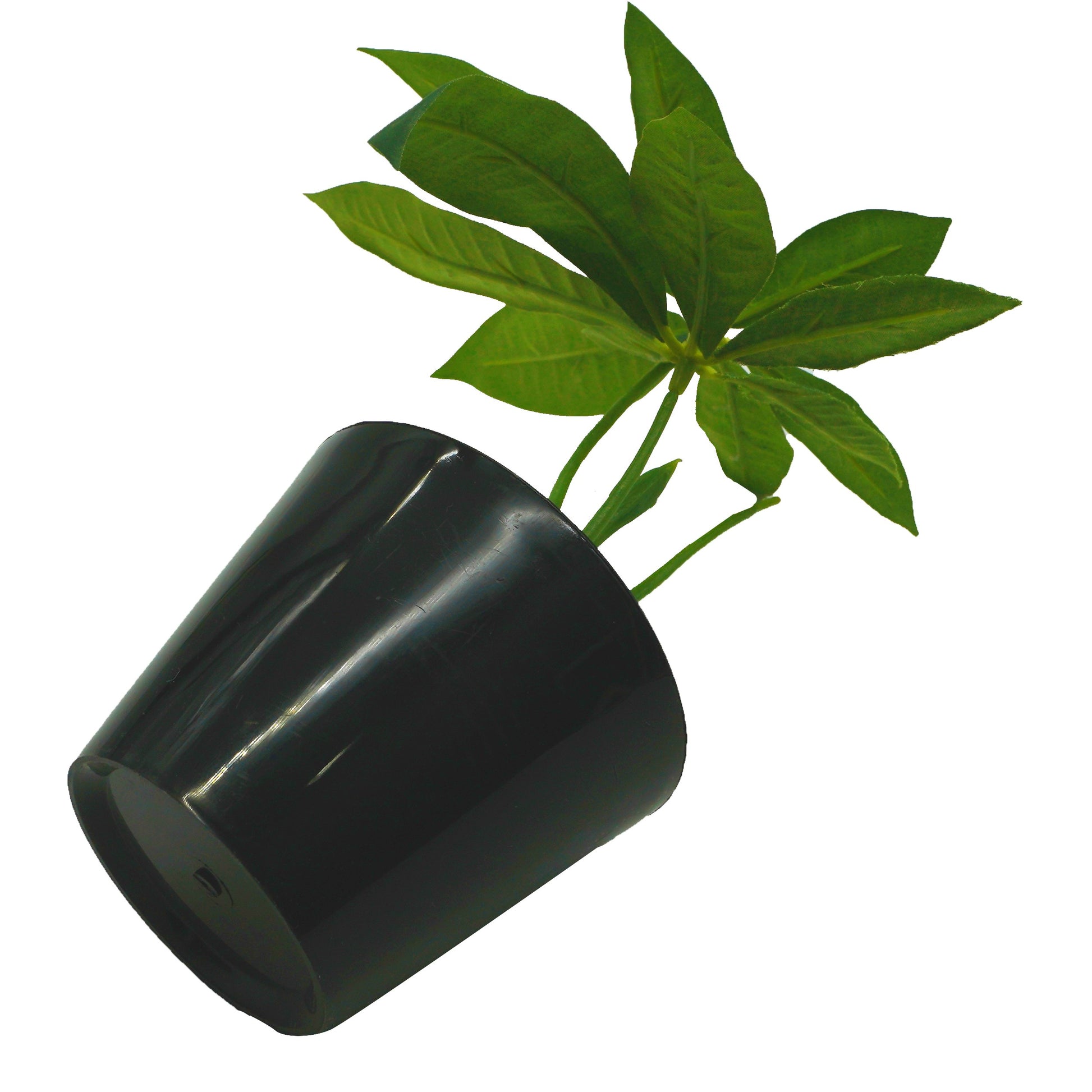 Planta artificiala cu ghiveci, castan, 22 cm, Art Flower, 35592