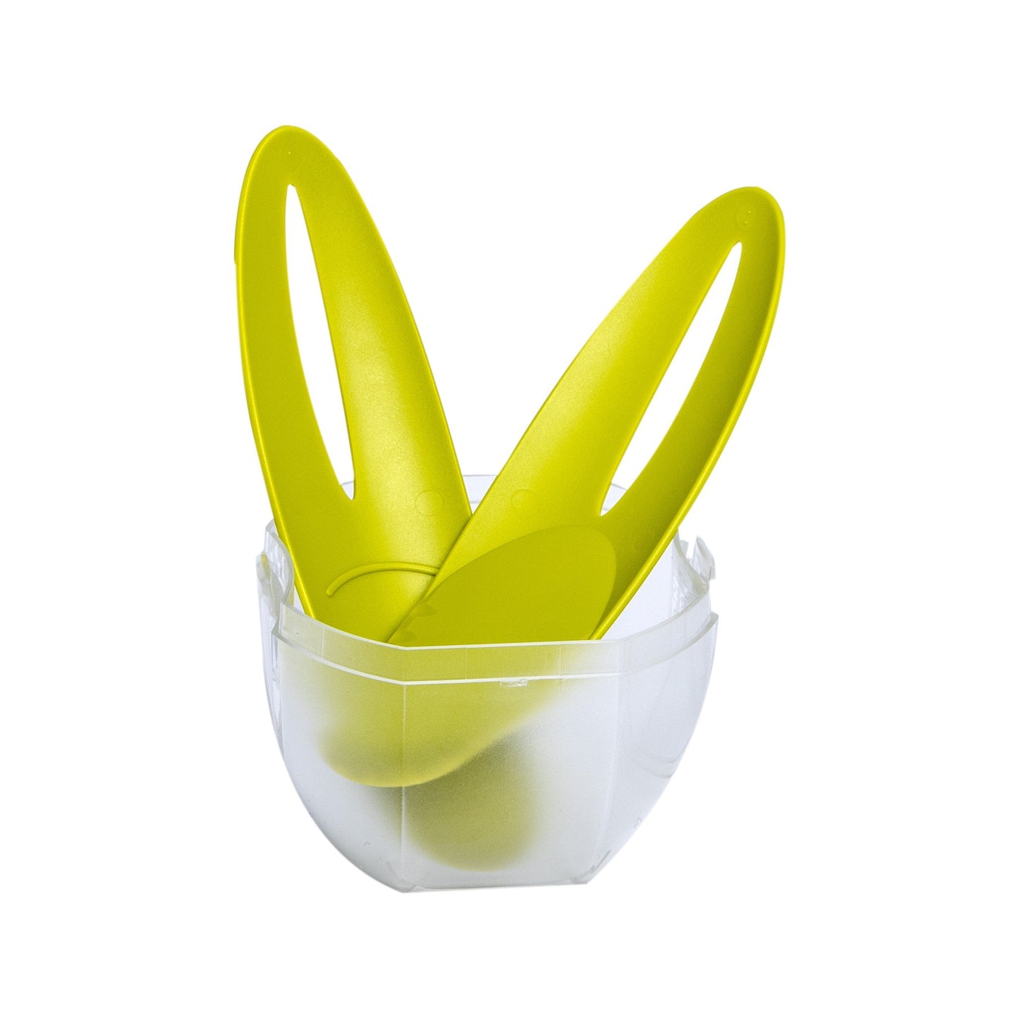 Cutie depozitare kiwi + accesorii 2 in 1 Tomorrow