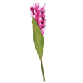 Floare artificiala Siam Tulip, AI&E